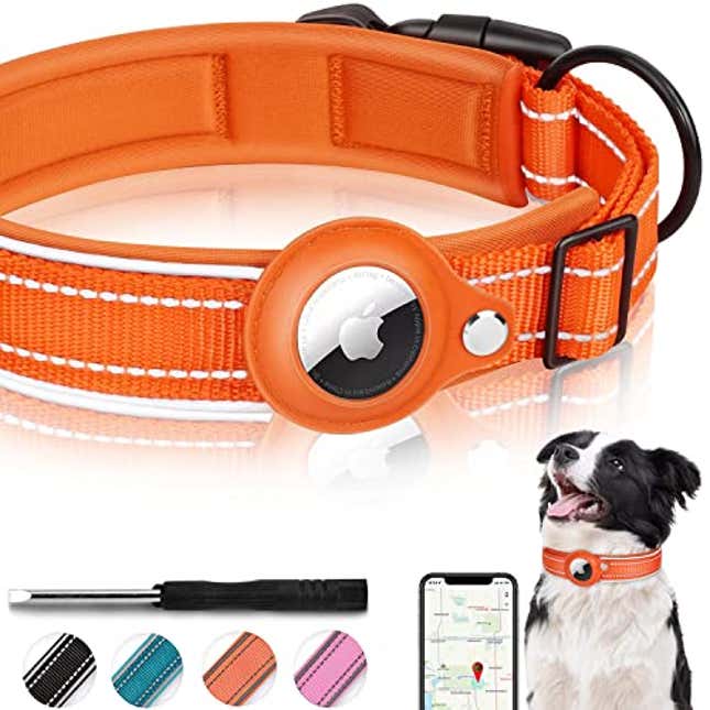 Image for article titled Get 10% Off an Apple Airtag Collar For Pet Safety