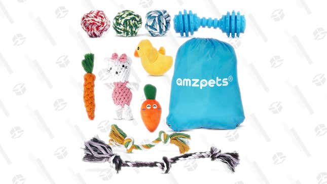 AMZpets 10 Dog Toys Bundle | $25 | Amazon | Clip Coupon 