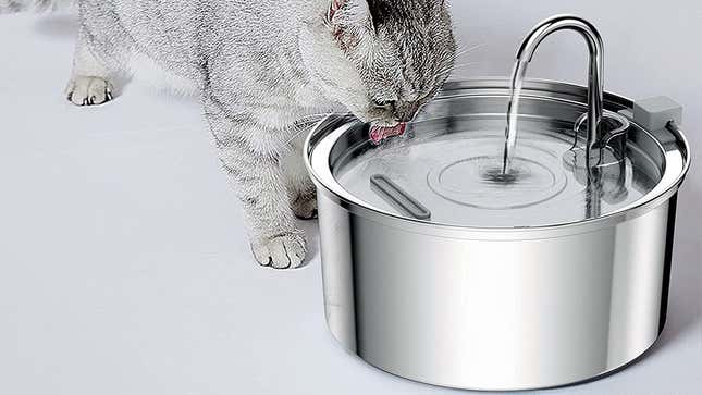 Cat Water Fountain | $37 | Amazon