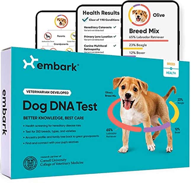 Image for article titled Top Prime Day Deal: 36% Off Embark&#39;s Dog DNA Test