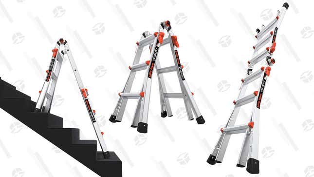 Little Giant Ladder | $229 | Amazon