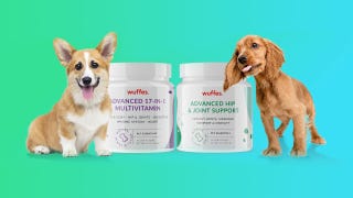 Dog Supplements