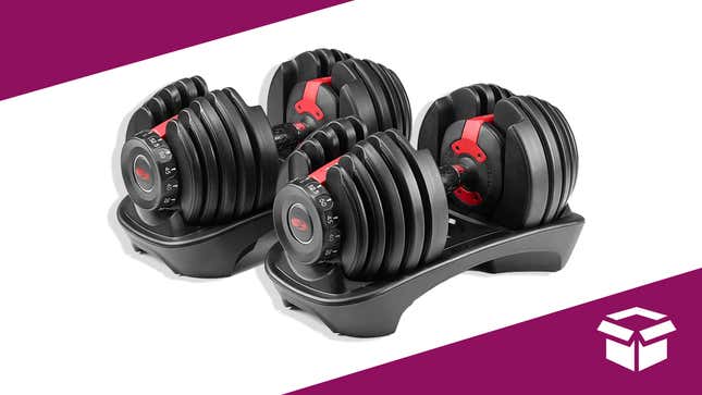 The adjustable Bowflex SelectTech dumbbells.