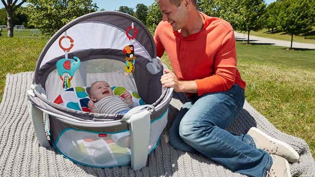 Fisher-Price On-the-Go Baby Dome