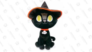 Binx Plush